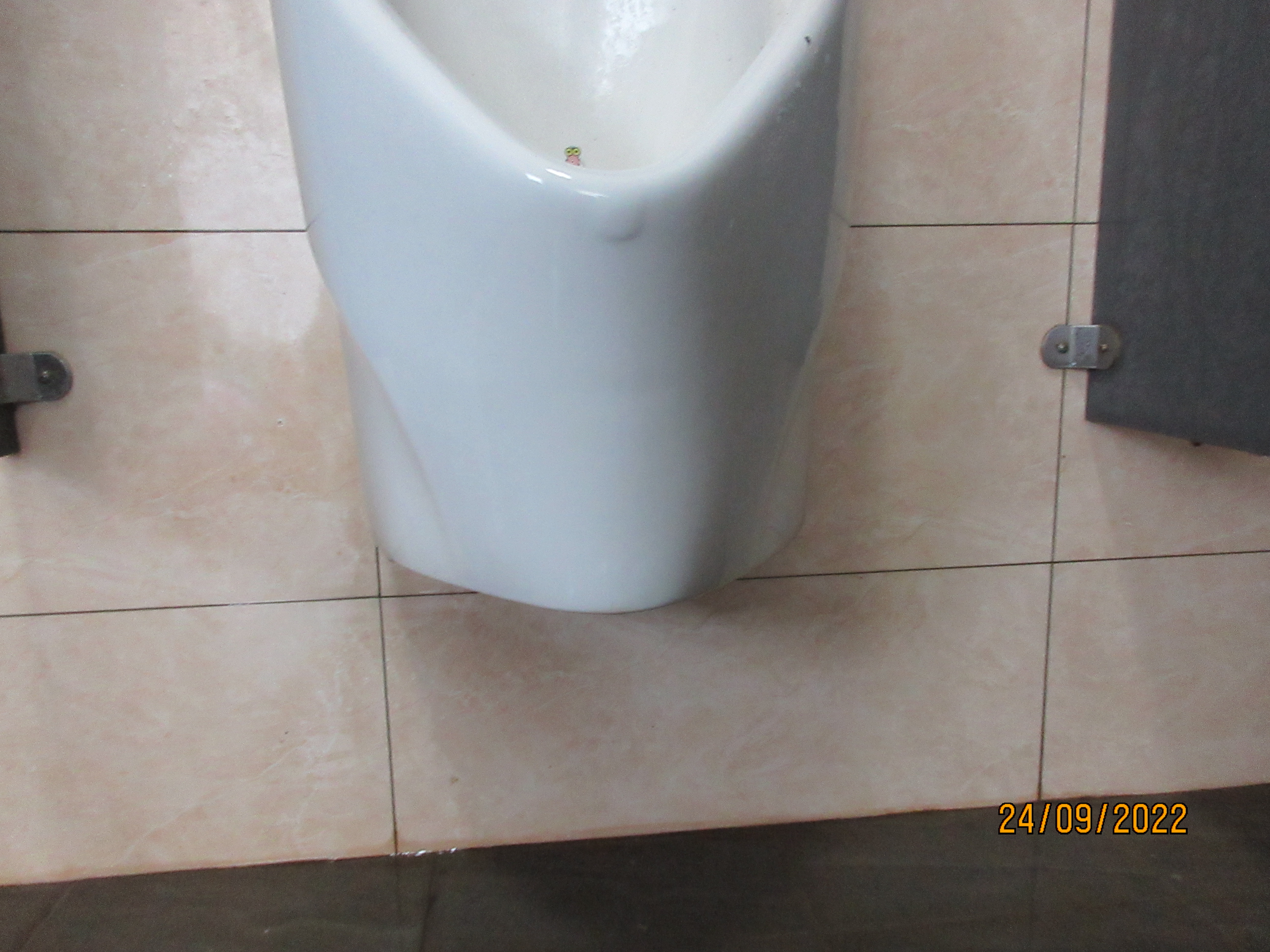 桃園市頭洲國小廁所清潔
